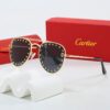 משקפי CARTIER